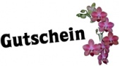 gutschein-currlin-orchideen
